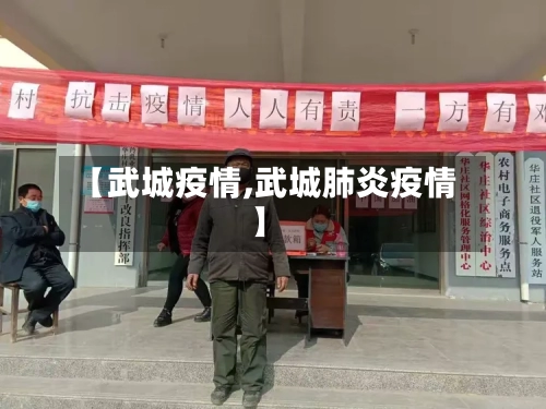 【武城疫情,武城肺炎疫情】-第2张图片