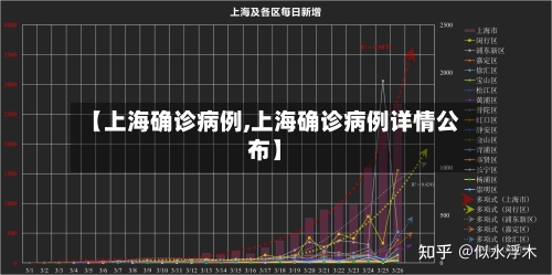 【上海确诊病例,上海确诊病例详情公布】-第3张图片