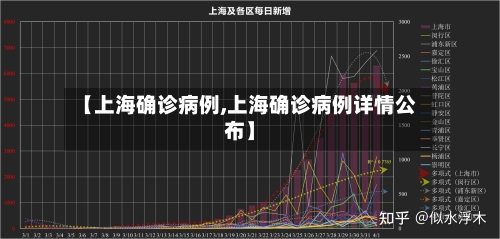【上海确诊病例,上海确诊病例详情公布】-第2张图片