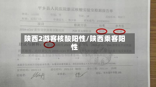 陕西2游客核酸阳性/陕西乘客阳性-第2张图片