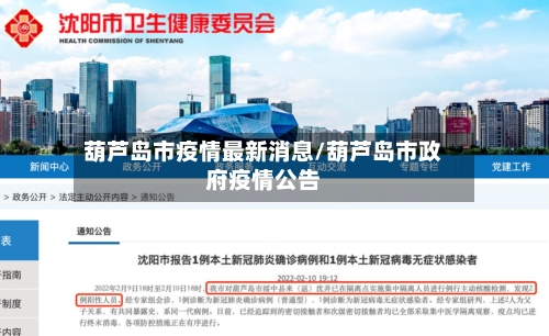 葫芦岛市疫情最新消息/葫芦岛市政府疫情公告-第3张图片