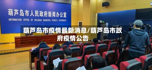 葫芦岛市疫情最新消息/葫芦岛市政府疫情公告-第2张图片
