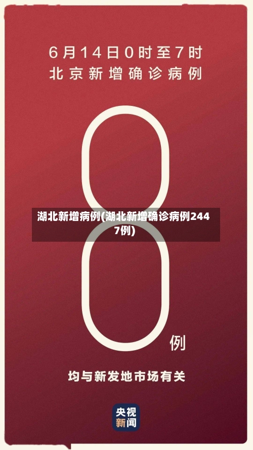 湖北新增病例(湖北新增确诊病例2447例)-第2张图片