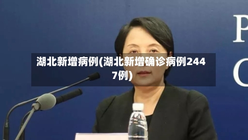 湖北新增病例(湖北新增确诊病例2447例)-第3张图片