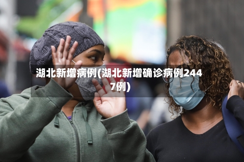 湖北新增病例(湖北新增确诊病例2447例)
