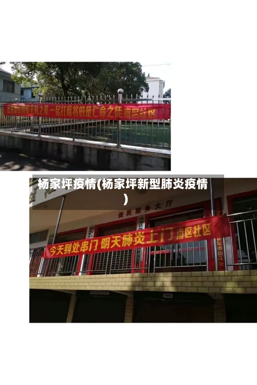 杨家坪疫情(杨家坪新型肺炎疫情)