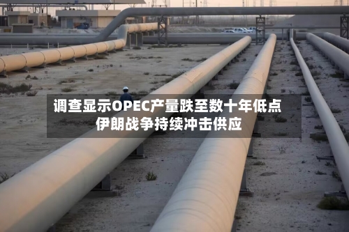 调查显示OPEC产量跌至数十年低点 伊朗战争持续冲击供应-第2张图片