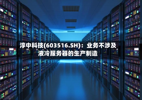 淳中科技(603516.SH)：业务不涉及液冷服务器的生产制造