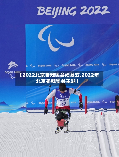 【2022北京冬残奥会闭幕式,2022年北京冬残奥会主题】-第2张图片