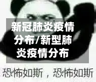 新冠肺炎疫情分布/新型肺炎疫情分布