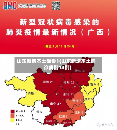 山东新增本土确诊1(山东新增本土确诊病例14例)