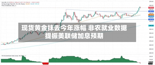 现货黄金抹去今年涨幅 非农就业数据提振美联储加息预期