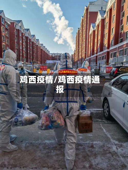 鸡西疫情/鸡西疫情通报-第2张图片