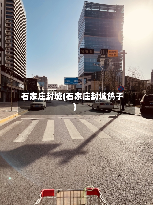 石家庄封城(石家庄封城鸽子)
