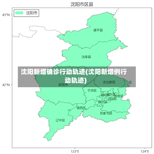 沈阳新增确诊行动轨迹(沈阳新增例行动轨迹)-第2张图片