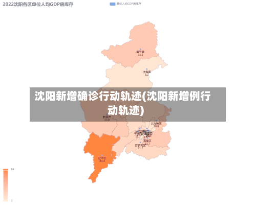 沈阳新增确诊行动轨迹(沈阳新增例行动轨迹)
