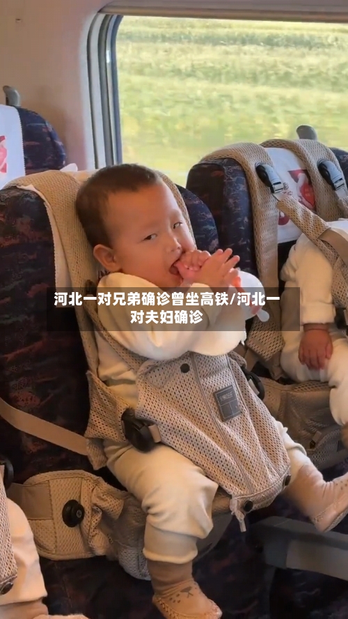 河北一对兄弟确诊曾坐高铁/河北一对夫妇确诊