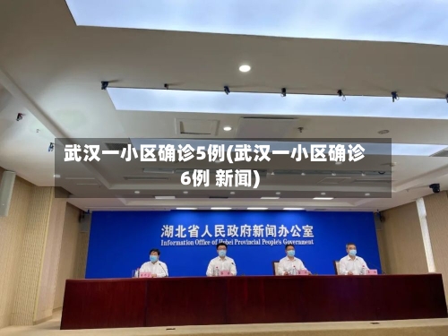 武汉一小区确诊5例(武汉一小区确诊6例 新闻)-第2张图片