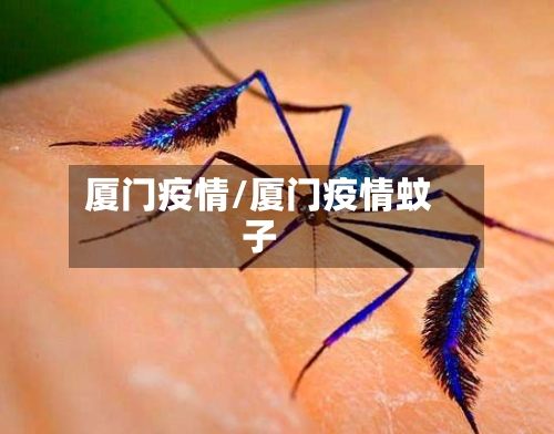 厦门疫情/厦门疫情蚊子-第2张图片