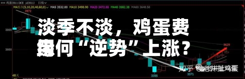 淡季不淡，鸡蛋费用缘何“逆势	”上涨？-第3张图片