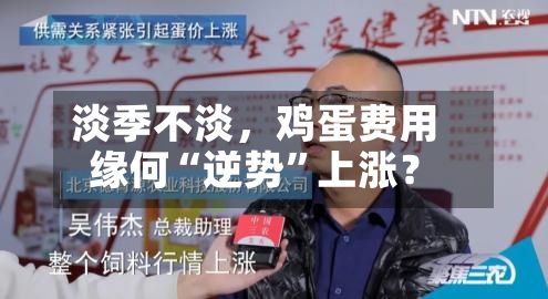 淡季不淡，鸡蛋费用缘何“逆势”上涨？-第2张图片