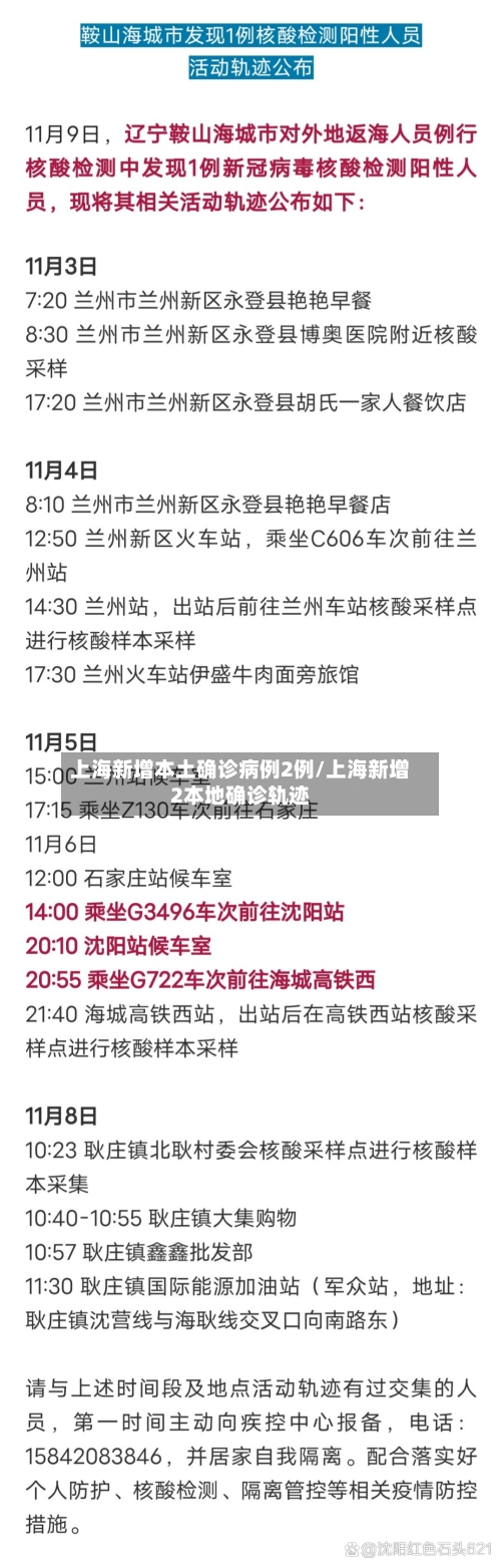 上海新增本土确诊病例2例/上海新增2本地确诊轨迹-第2张图片