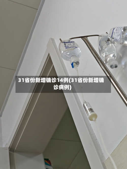 31省份新增确诊14例(31省份新增确诊病例)