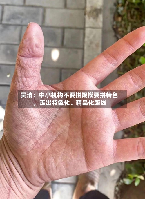 吴清：中小机构不要拼规模要拼特色，走出特色化、精品化路线