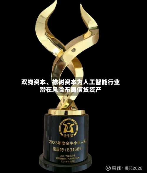 双线资本、橡树资本为人工智能行业潜在风险布局信贷资产