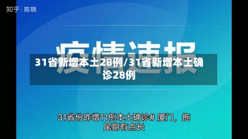 31省新增本土28例/31省新增本土确诊28例-第3张图片
