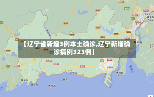 【辽宁省新增3例本土确诊,辽宁新增确诊病例323例】