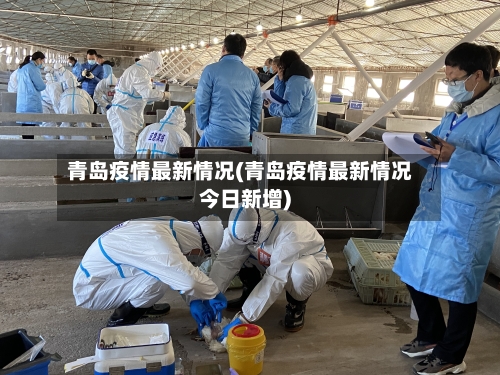 青岛疫情最新情况(青岛疫情最新情况今日新增)
