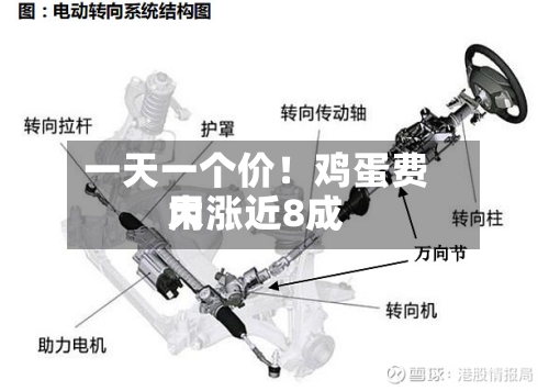 一天一个价！鸡蛋费用大涨近8成