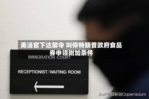 美法官下达禁令 叫停特朗普政府食品券申领附加条件-第2张图片