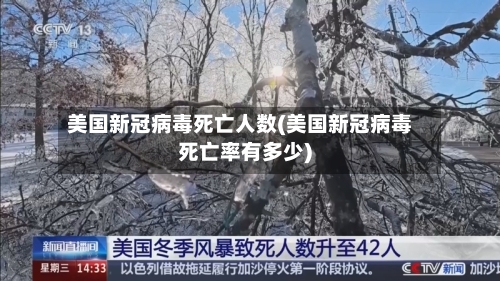 美国新冠病毒死亡人数(美国新冠病毒死亡率有多少)