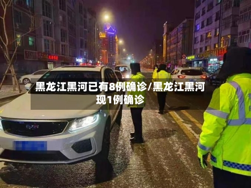 黑龙江黑河已有8例确诊/黑龙江黑河现1例确诊-第2张图片