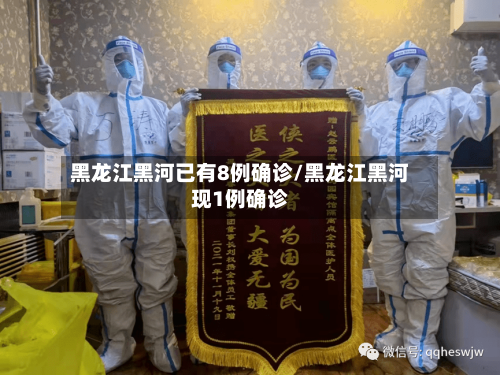 黑龙江黑河已有8例确诊/黑龙江黑河现1例确诊-第3张图片