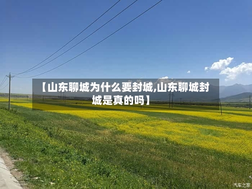 【山东聊城为什么要封城,山东聊城封城是真的吗】