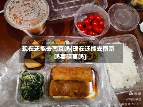 现在还能去南京吗(现在还能去南京吗要隔离吗)-第2张图片