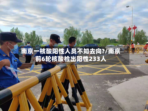 南京一核酸阳性人员不知去向?/南京前6轮核酸检出阳性233人-第3张图片