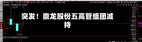 突发！鼎龙股份五高管组团减持