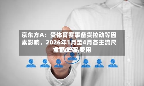 京东方A：受体育赛事备货拉动等因素影响，2026年1月至4月各主流尺寸TV产品费用全面上涨