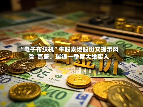 “电子布织机”牛股泰坦股份又提示风险  高盛、瑞银一季度大举买入