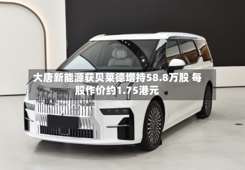大唐新能源获贝莱德增持58.8万股 每股作价约1.75港元-第2张图片