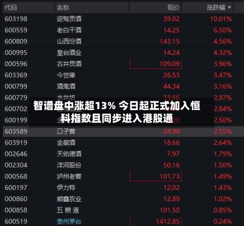 智谱盘中涨超13% 今日起正式加入恒科指数且同步进入港股通-第2张图片