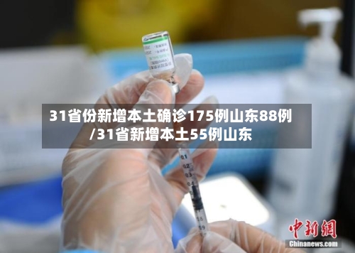 31省份新增本土确诊175例山东88例/31省新增本土55例山东-第2张图片