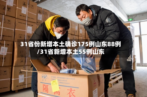 31省份新增本土确诊175例山东88例/31省新增本土55例山东