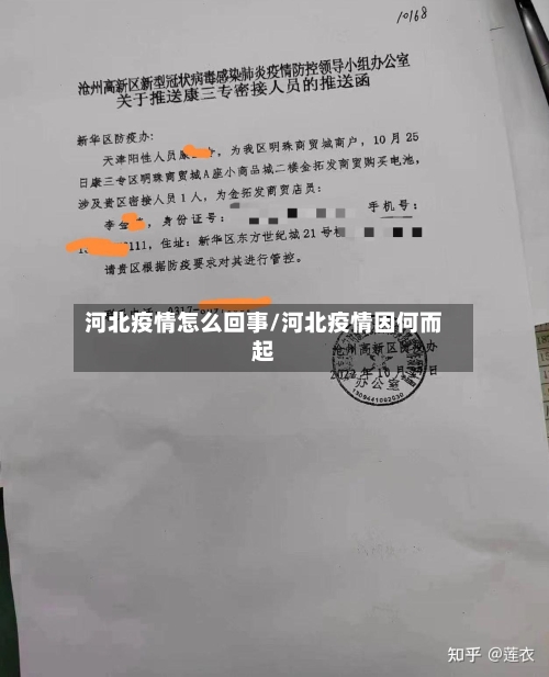 河北疫情怎么回事/河北疫情因何而起-第3张图片