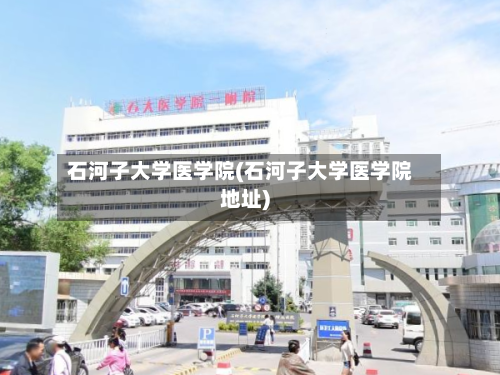 石河子大学医学院(石河子大学医学院地址)-第2张图片