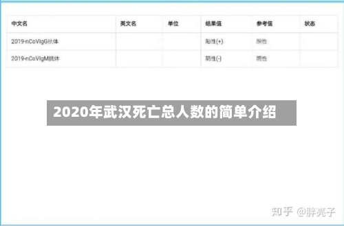 2020年武汉死亡总人数的简单介绍